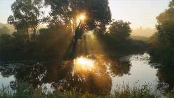 Sommer-Morgen auf dem Fluss / ***