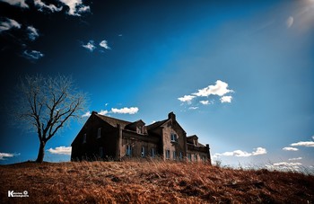 Haunted House / ***