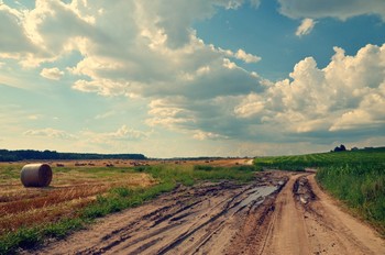 Sommerlandschaft / ***