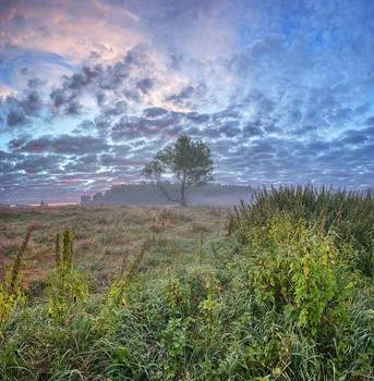 Morgendämmerung / ***