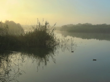 Morgendämmerung / ***