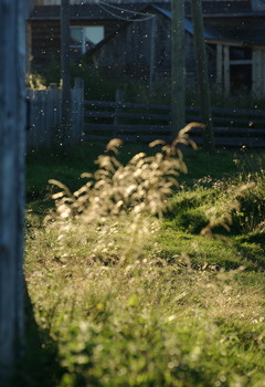 am Ende des Sommers / ***