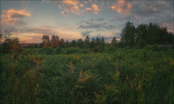 Abenddämmerung / ***