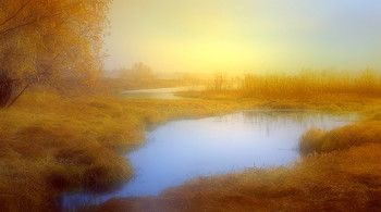 Herbstnebel ... / ***