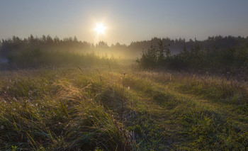 Um die Sonne entgegen / ***