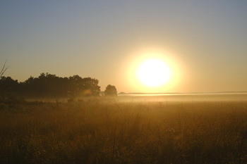 Morgendämmerung / ***
