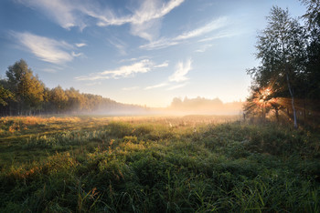 Nebel zerstreut / ***