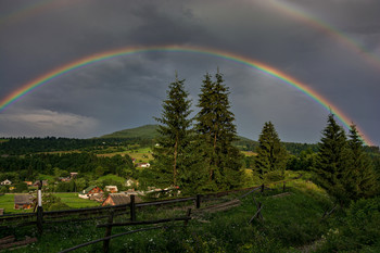 Nach dem Regen / ***