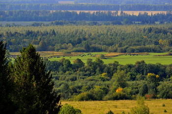 Landschaft ... / ***