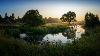 Morgen auf dem Fluss / ...