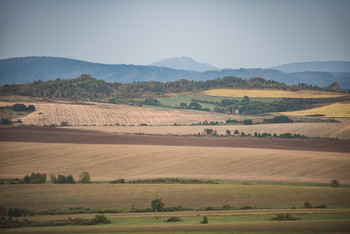 Also Herbst ist gekommen / [img]https://i.imgur.com/ePYALkf.jpg[/img]

[img]https://i.imgur.com/63D84Gb.jpg[/img]