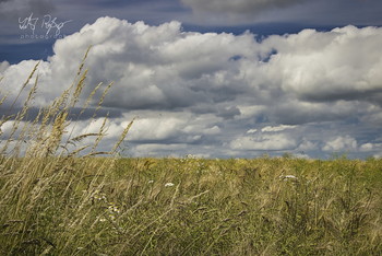 Als noch Sommer war... / Wolkenhimmel und eine Sommerwiese