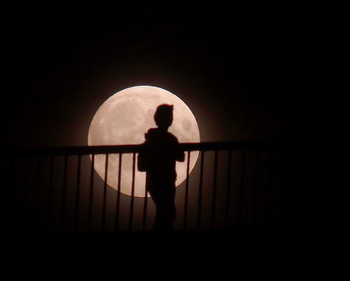 Full Moon. / ***