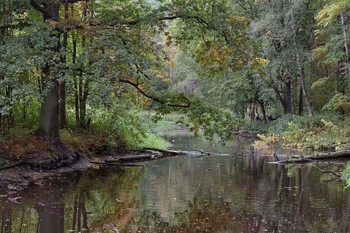 Herbst / ***