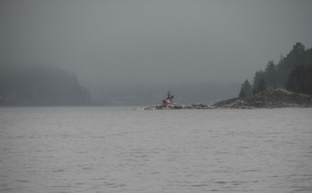 Insel im Nebel / ***