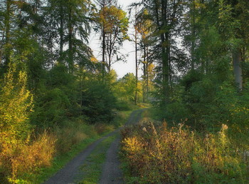 Sad Herbst / ***