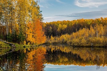 Goldener Herbst / ***