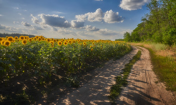 Roads Wir wählen / ***