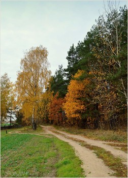 Straßen, die wir wählen / [img]https://i.imgur.com/2YJpurr.jpg[/img]