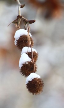 &nbsp; / ,,,,,,,,,,,,