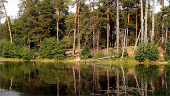 Auf dem See / ***