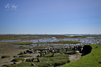 Wo das Land geboren ist... / Landgewinnung in der Nordsee