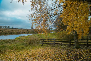 Goldener Herbst / ***