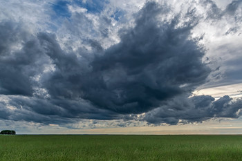 Nach dem Regen / ***