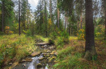 Herbst Creek / ***