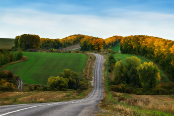 Straße zum Herbst / ***