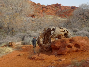 &nbsp; / Red Cliffs Park, Utah, USA