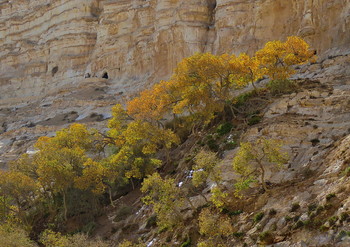 Herbst in den Bergen / ...