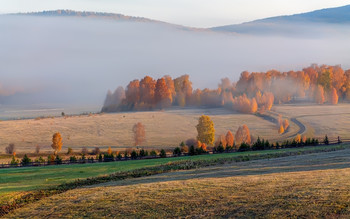 Herbst / ***