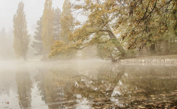 Der Geruch des Herbstes / ***