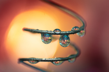Las gotas efectos muelles. / Fotografía de experimentación.