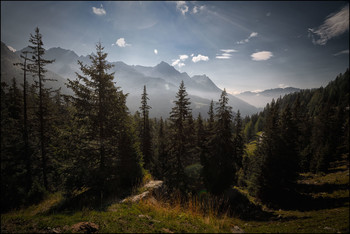 Bergwald / Die Alpen