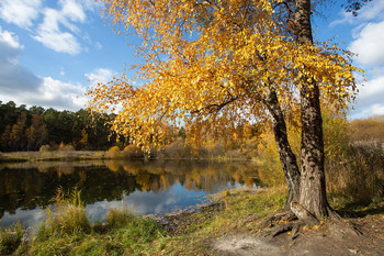 Herbst / .......
