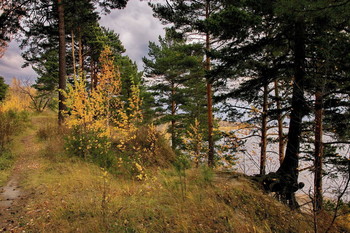 Herbst Nachmittag. / ***