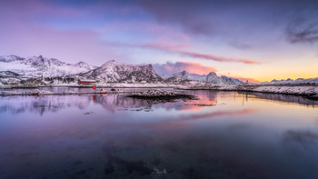 &nbsp; / Lofoten - Norway