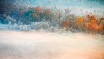 &nbsp; / A misty morning along the Adda river, Airuno - Italy.