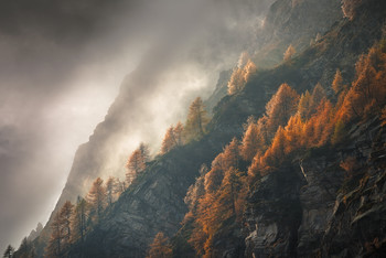 &nbsp; / Autumn at Devero - Italy