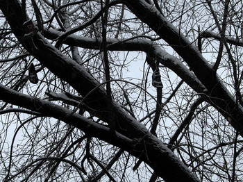 Filiale / 2015-11-06-267-C0-066(80)+C

[img]https://i.imgur.com/P0k6XOk.jpg[/img]