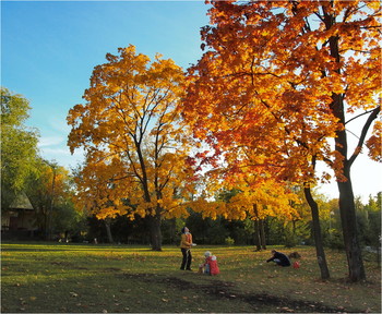 Im Herbst Park / ___________