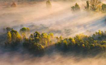 &nbsp; / Sun-rays cut through the fog and light yellow foliage.
Airuno - Italy

Panoramic image of 7 vertical shots.