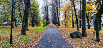 Herbstsonate / ***