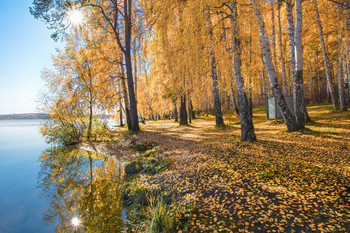 Autumn Strand / ***