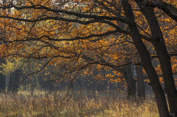 Herbst ... / ...