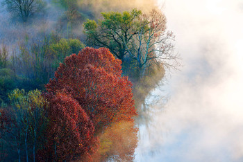 &nbsp; / Morning light along the Adda river, Airuno - Italy