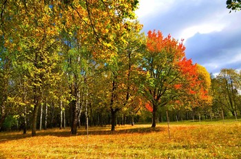 Herbstfarben / ***