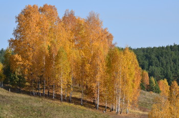 Herbstfarben / ***